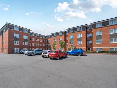 Picture 20